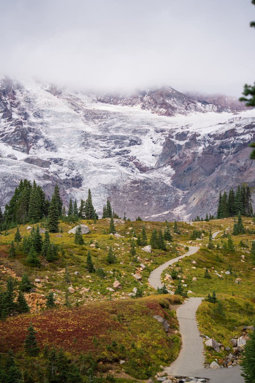 Paradise (Myrtle Falls, Skyline Trail)