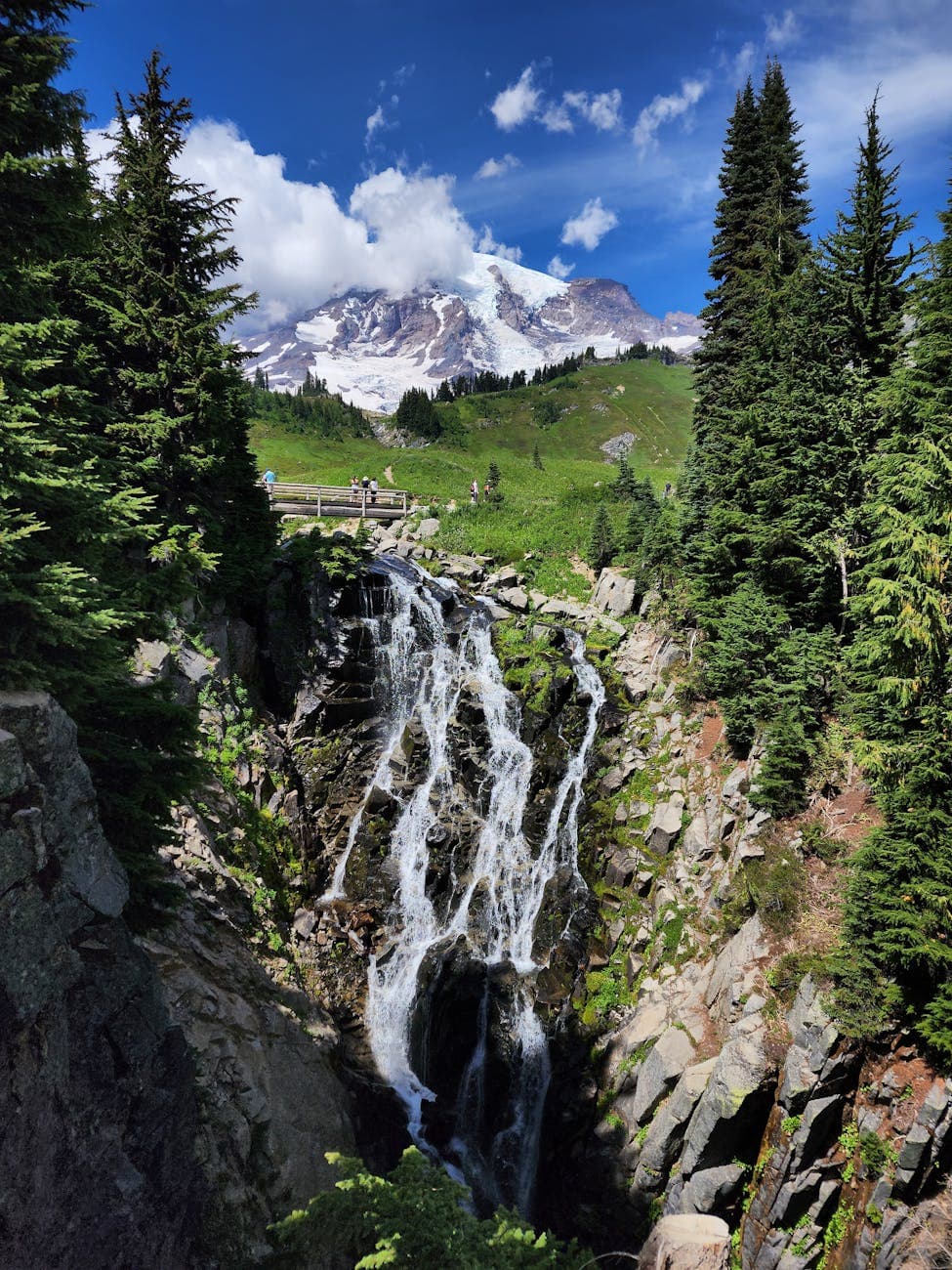 Paradise (Myrtle Falls, Skyline Trail)