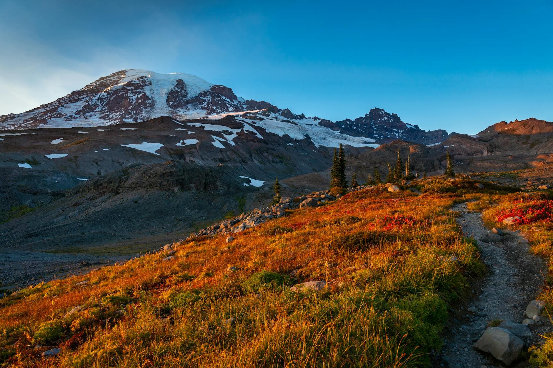 Paradise (Myrtle Falls, Skyline Trail)