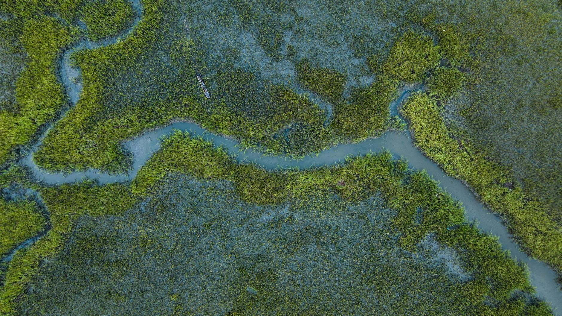 Nanticoke River