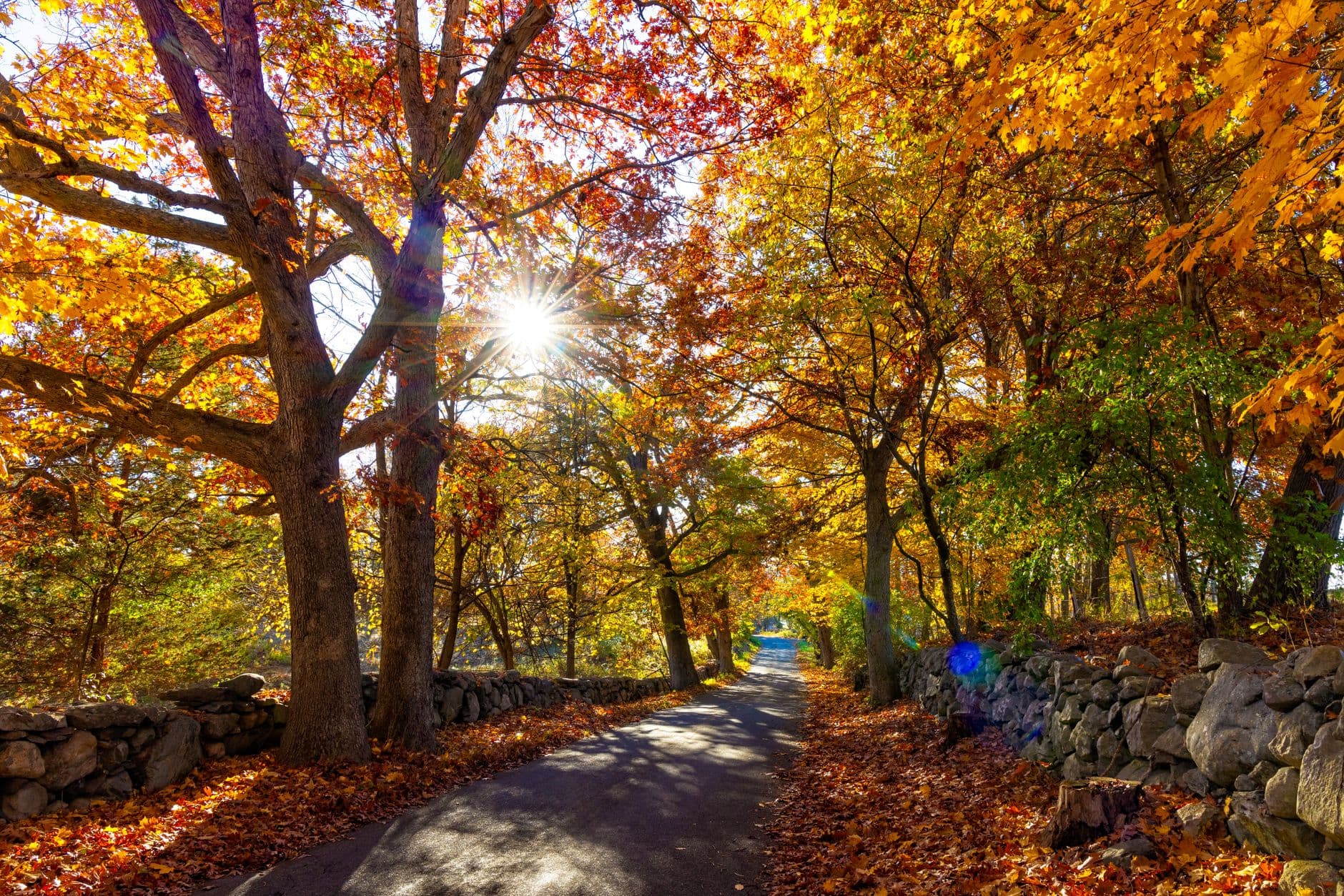 Salt Air & Rose Lanes: A Quiet Nantucket for Two