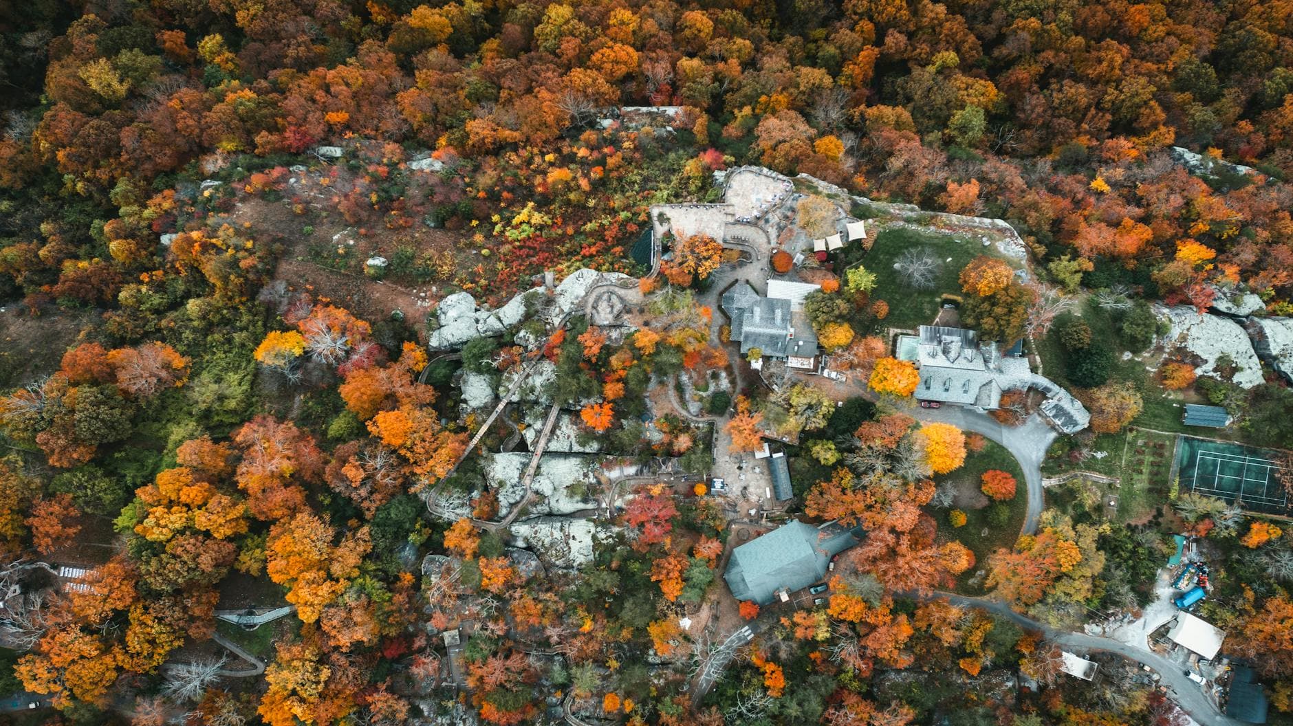 Cheekwood Estate & Gardens