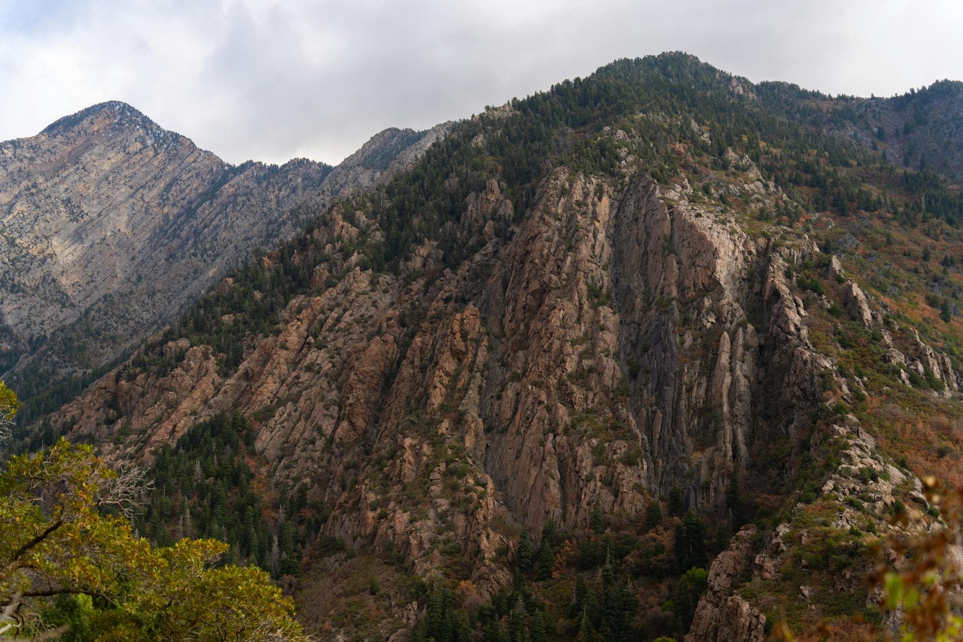 Cottonwood Canyon