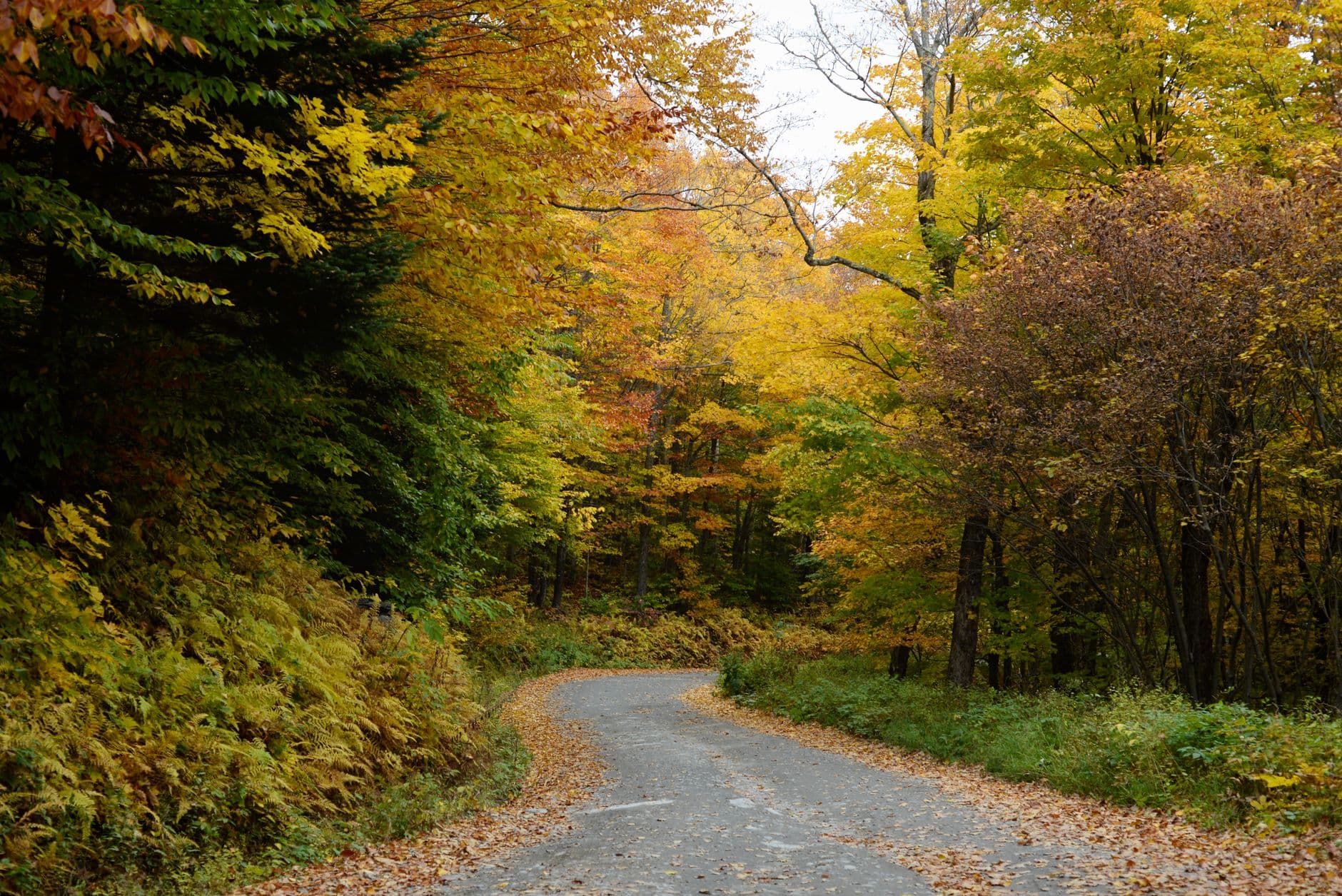 Vermont