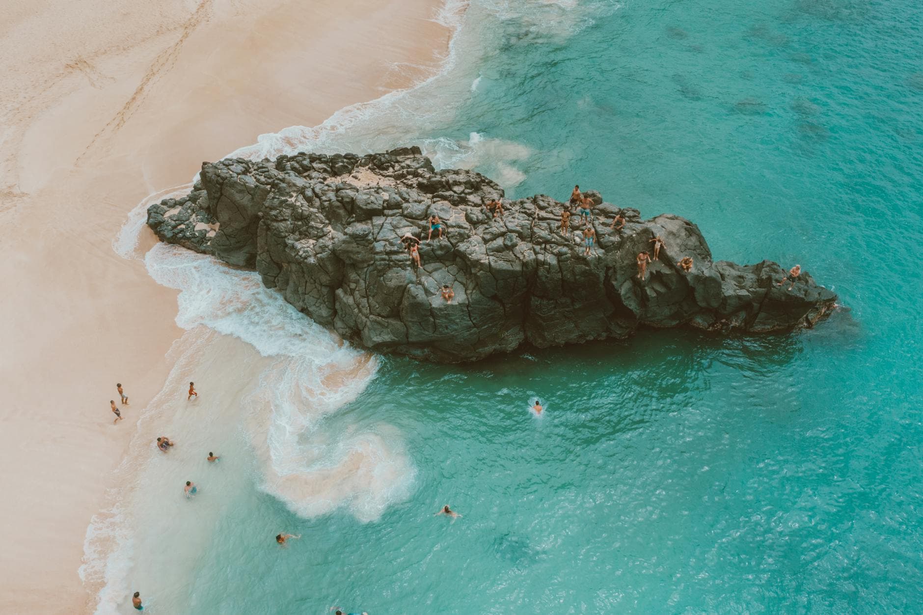 North Shore (Sunset Beach, Waimea Bay, Sharks Cove)