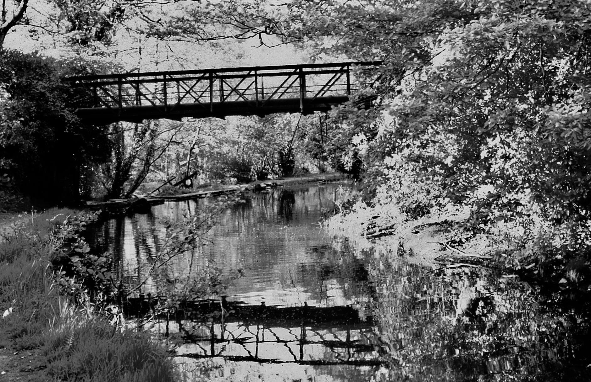 Suwannee Canal