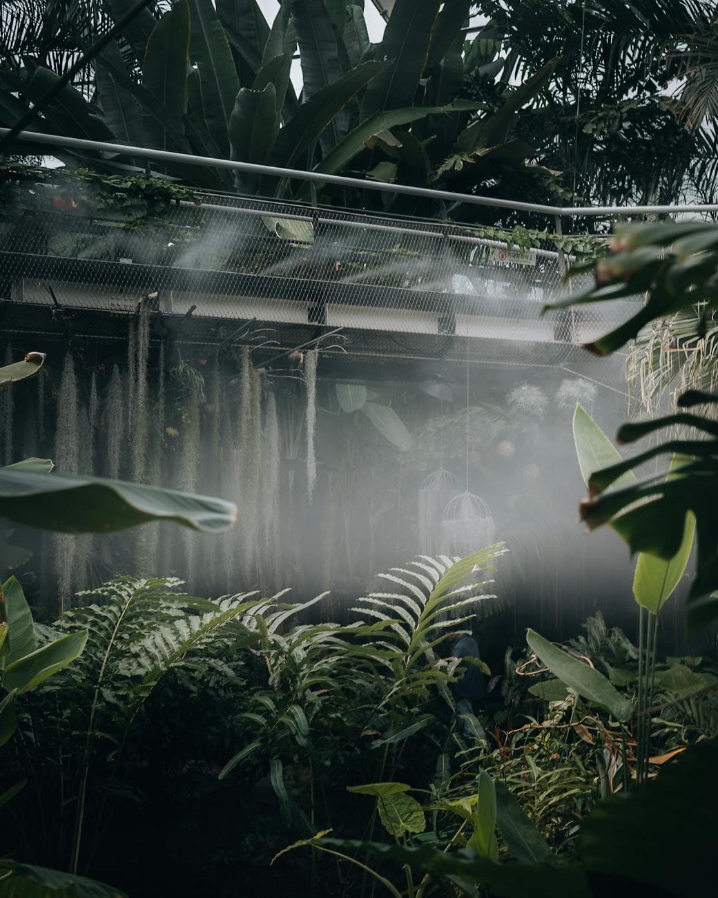 Myriad Botanical Gardens