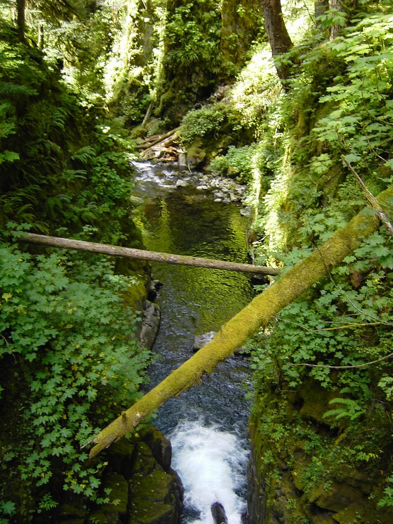 Sol Duc Falls