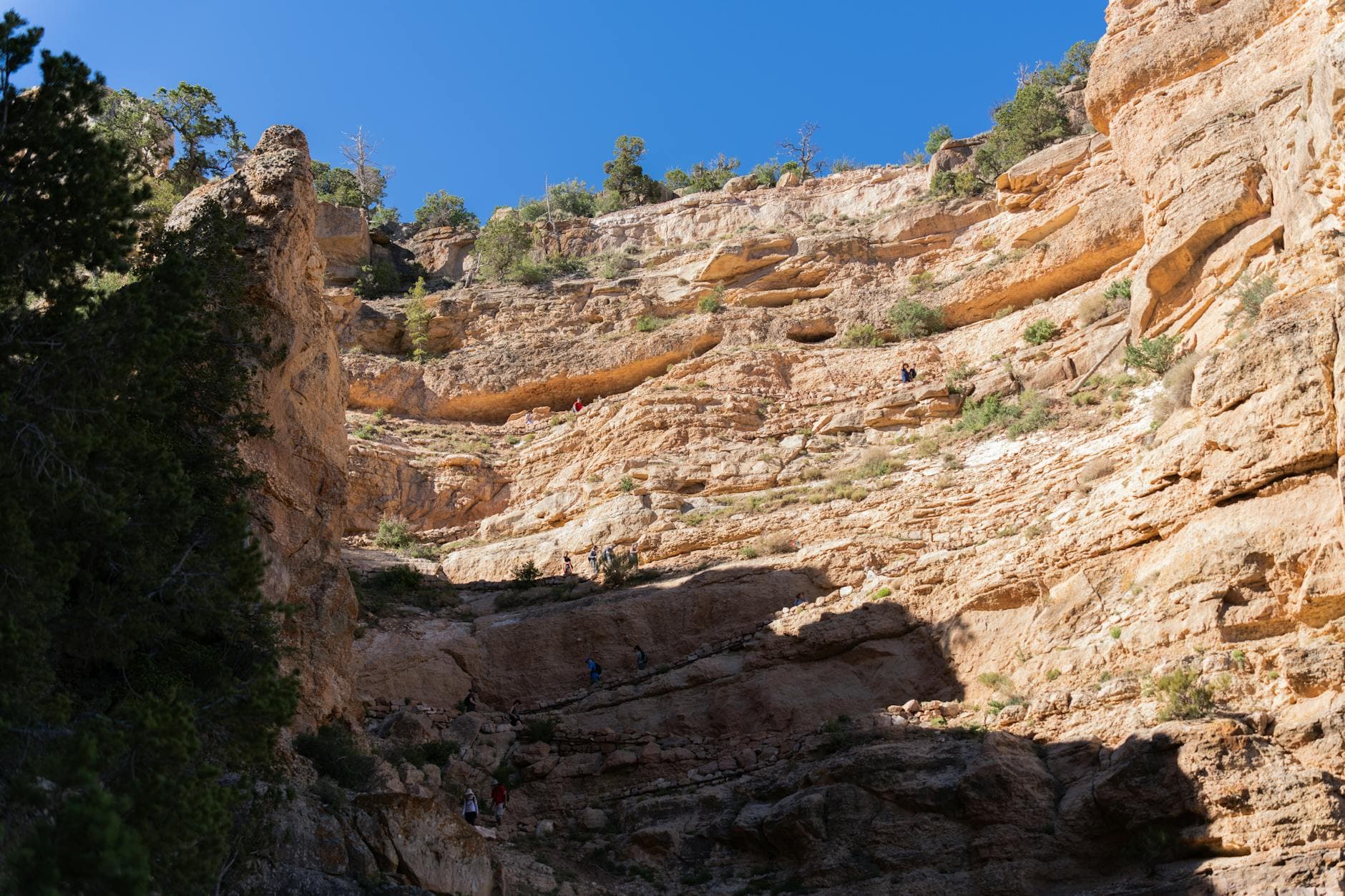 Sad Monkey Canyon