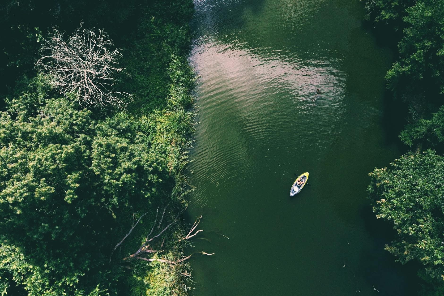 Payette River (floating, kayaking)