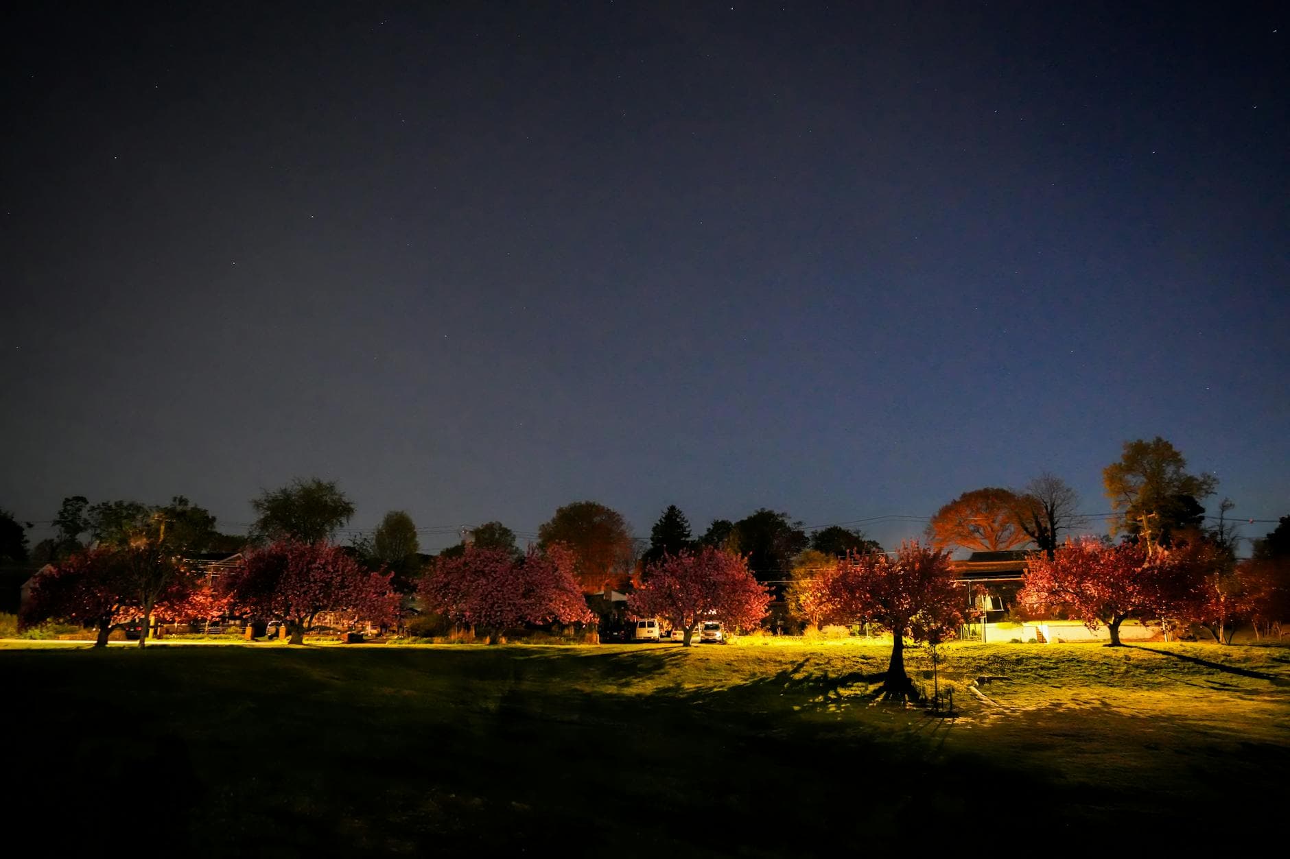 Cherry Springs State Park (Dark Sky)