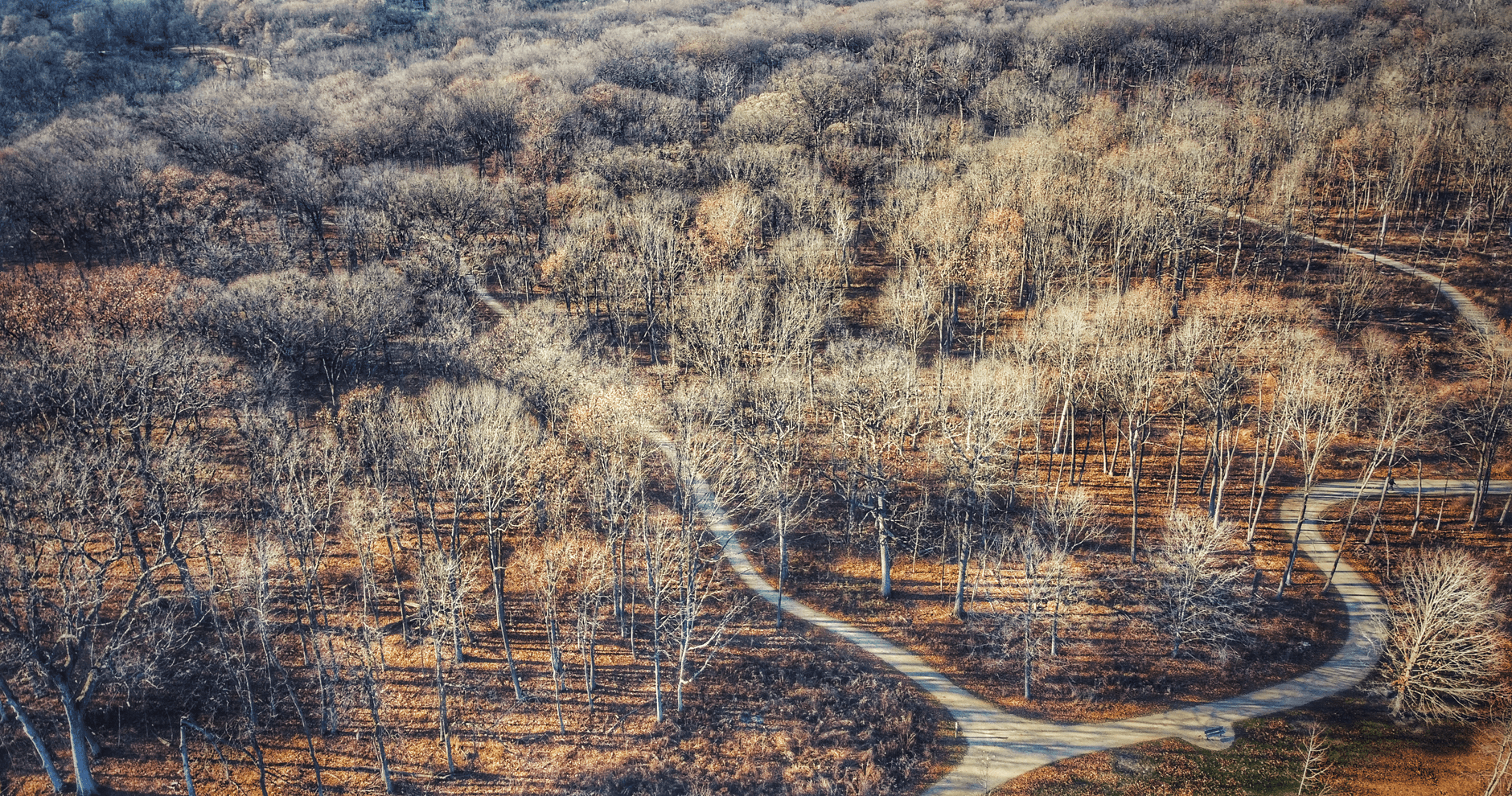 Peoria area
