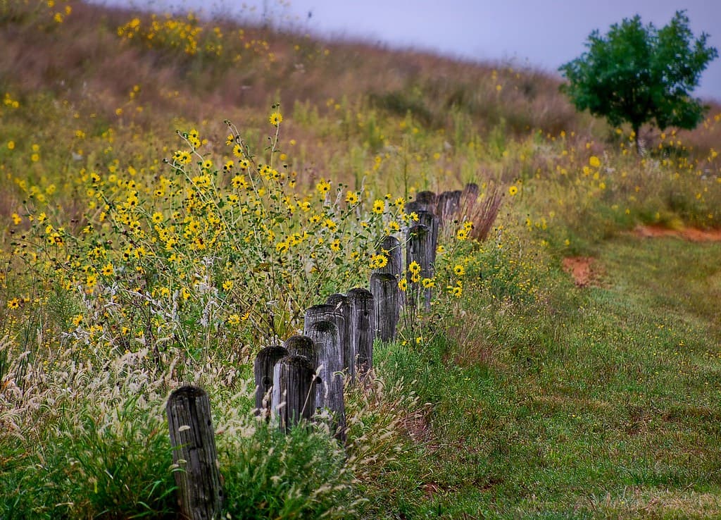 Wildlife Prairie Park
