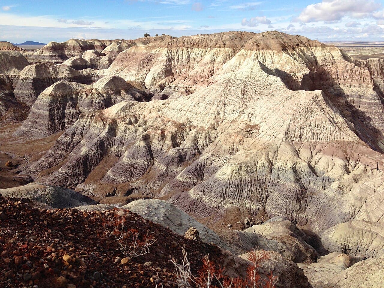 Blue Mesa Trail