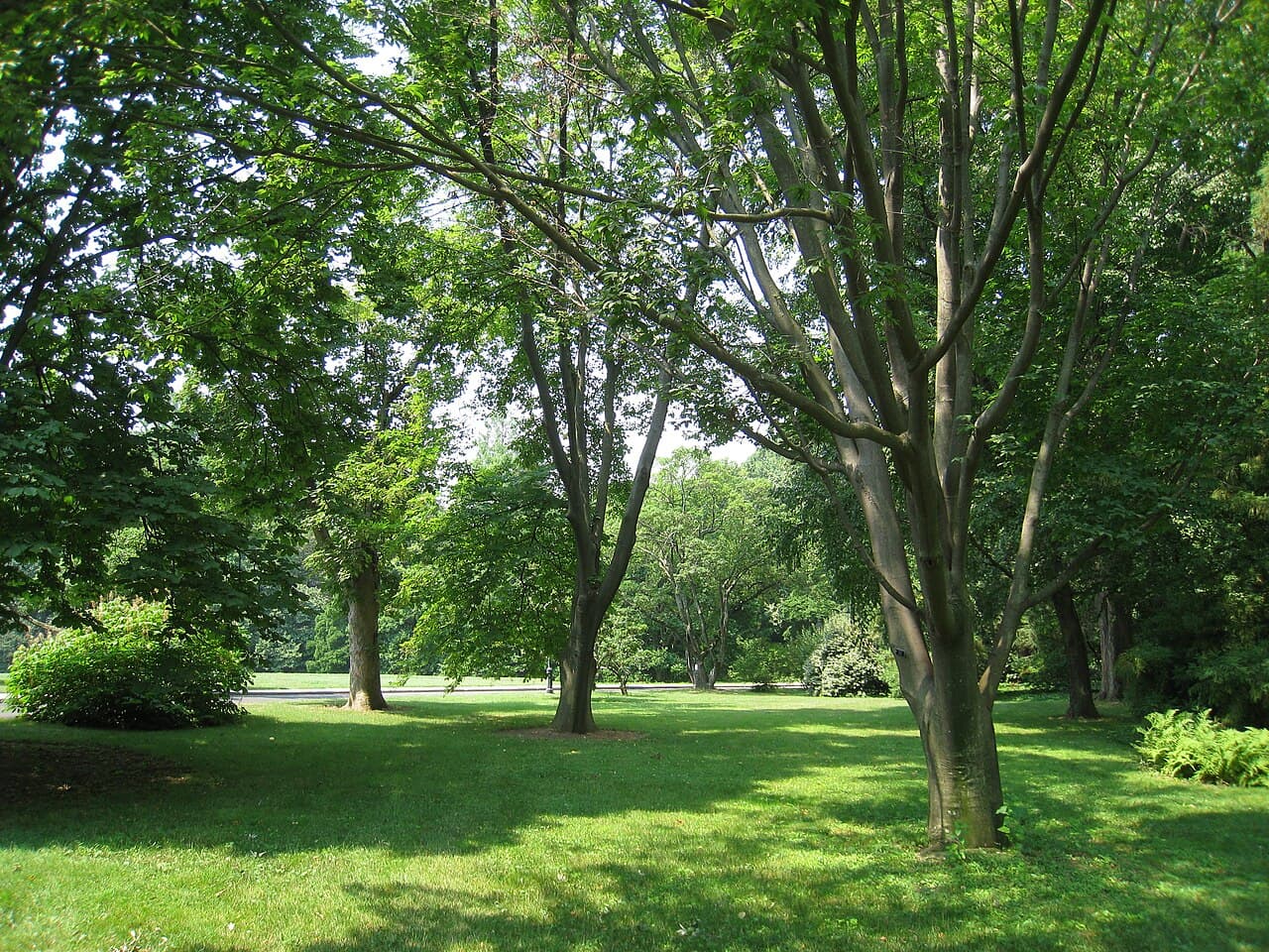 Barnes Foundation