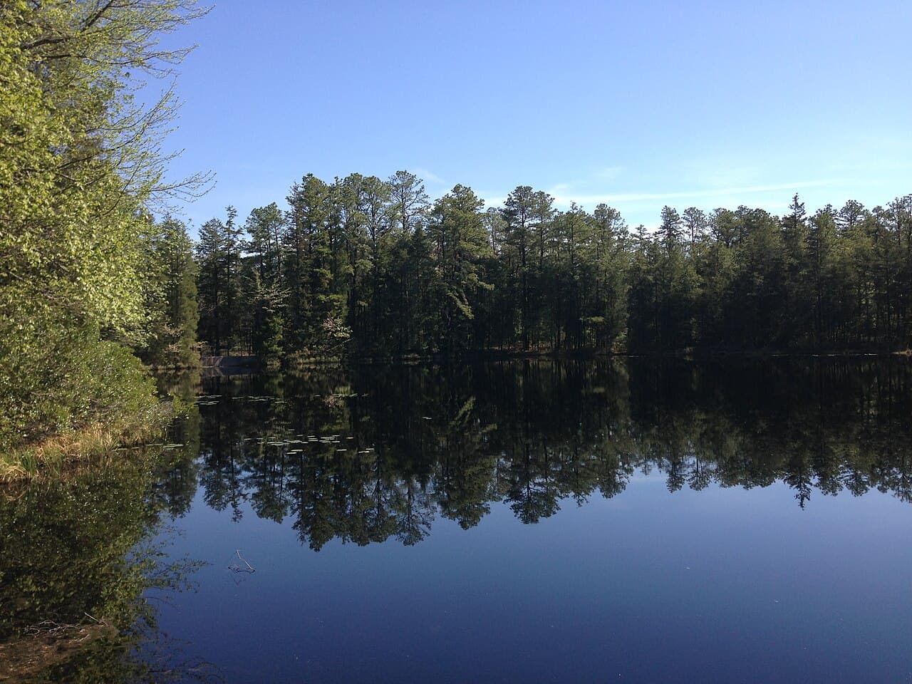 Brendan T. Byrne Forest