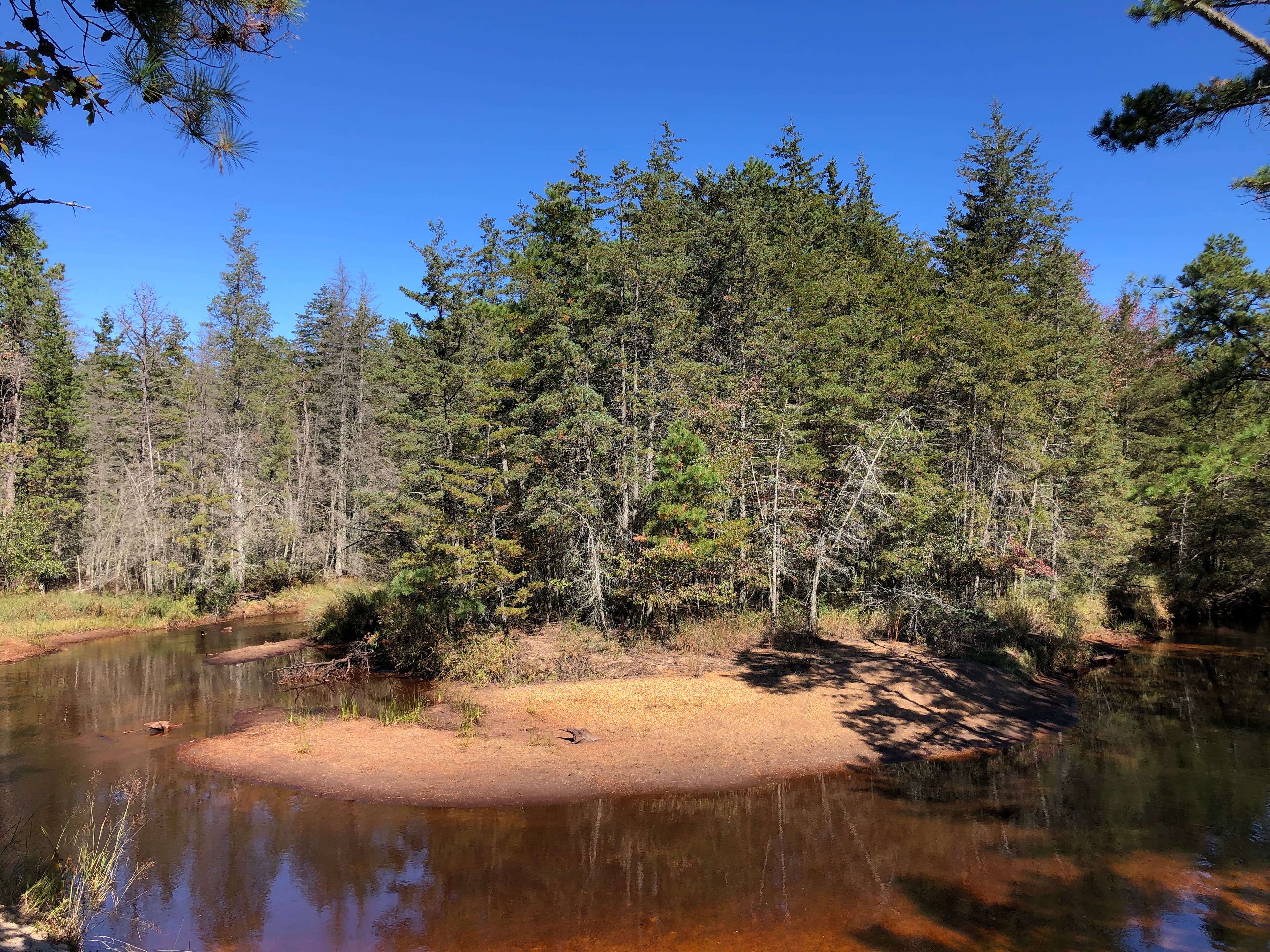 Wharton State Forest