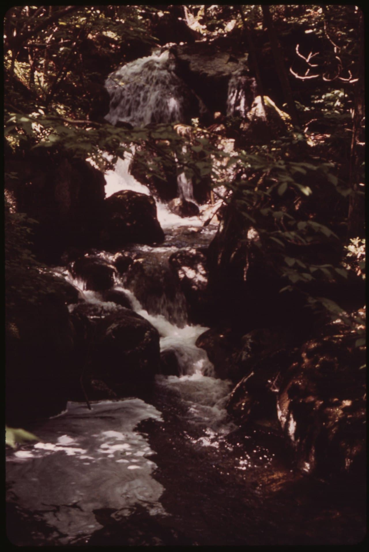 High Peaks Trail