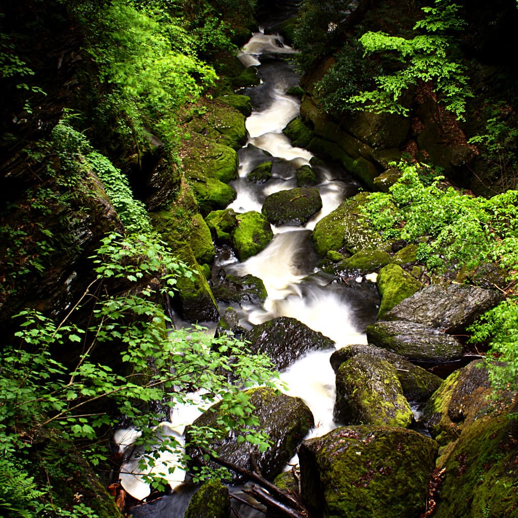Bushkill Falls