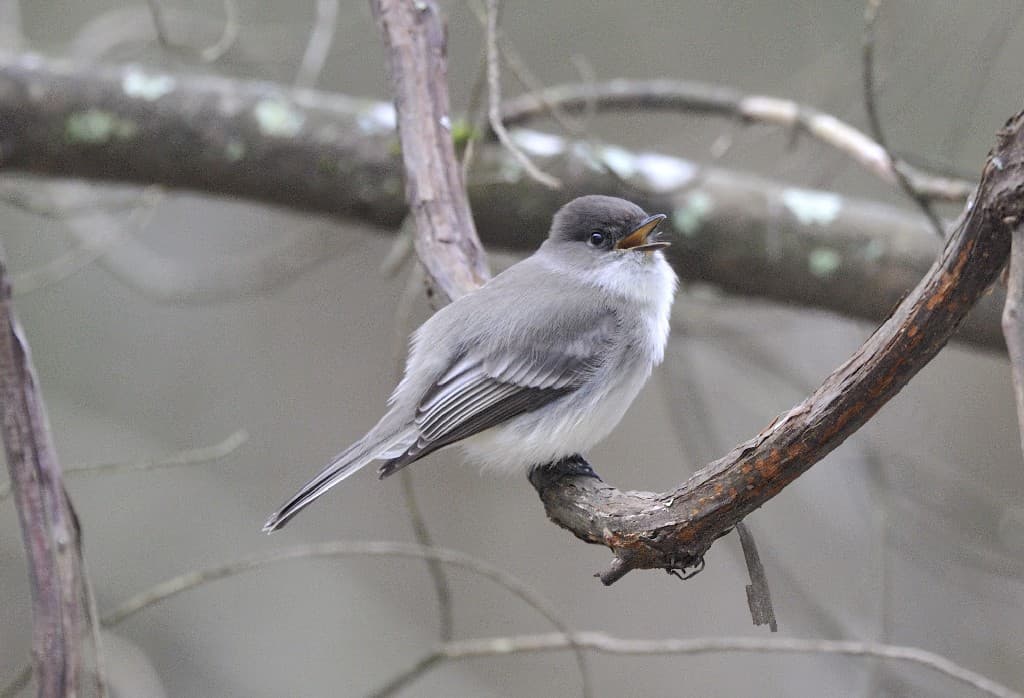 Quabbin Reservoir