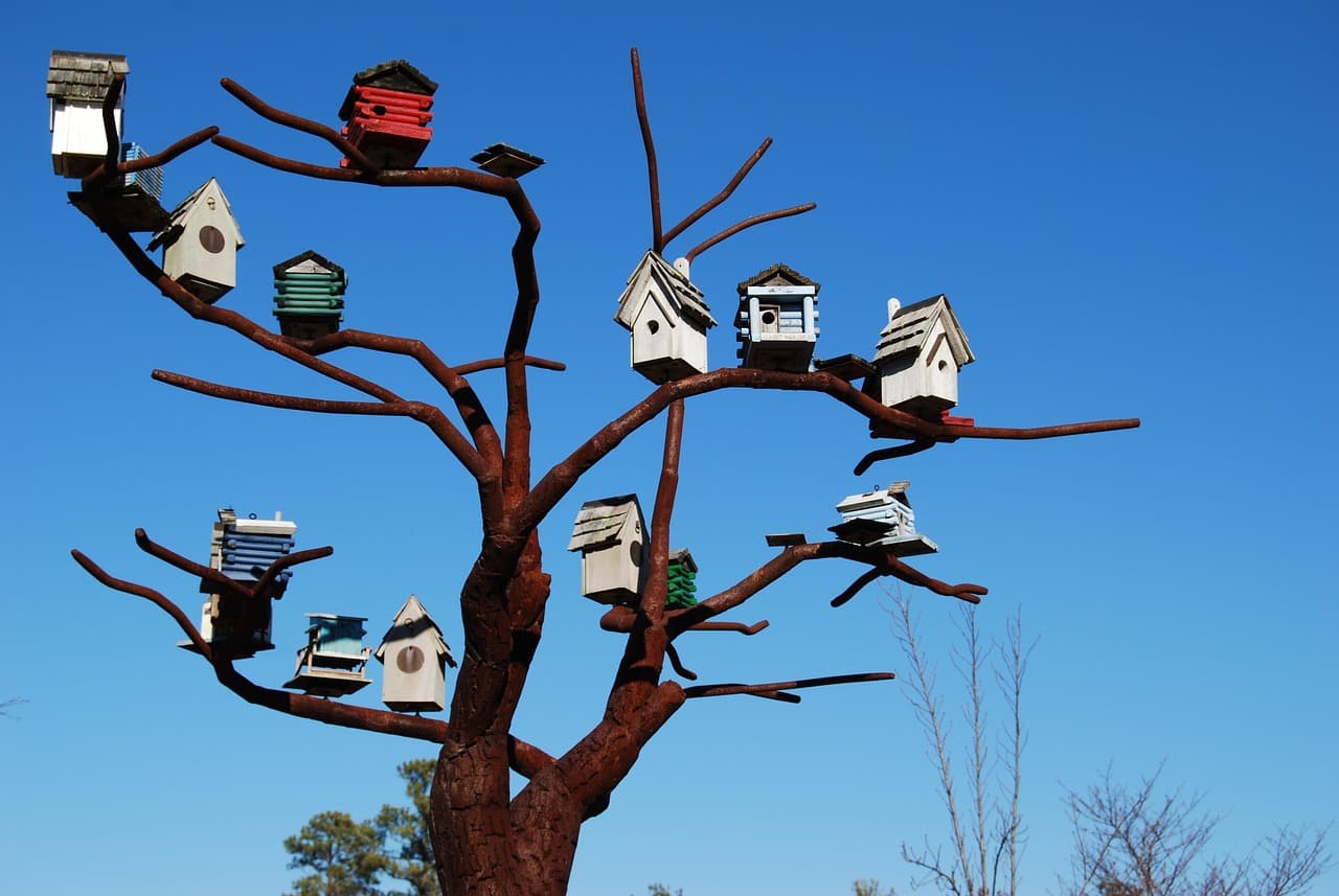 North Carolina Museum of Art