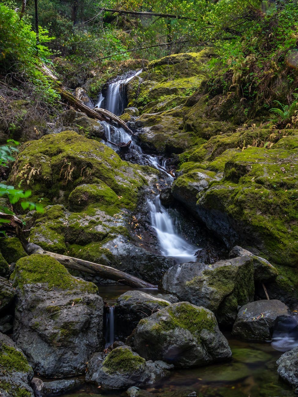 Redding area