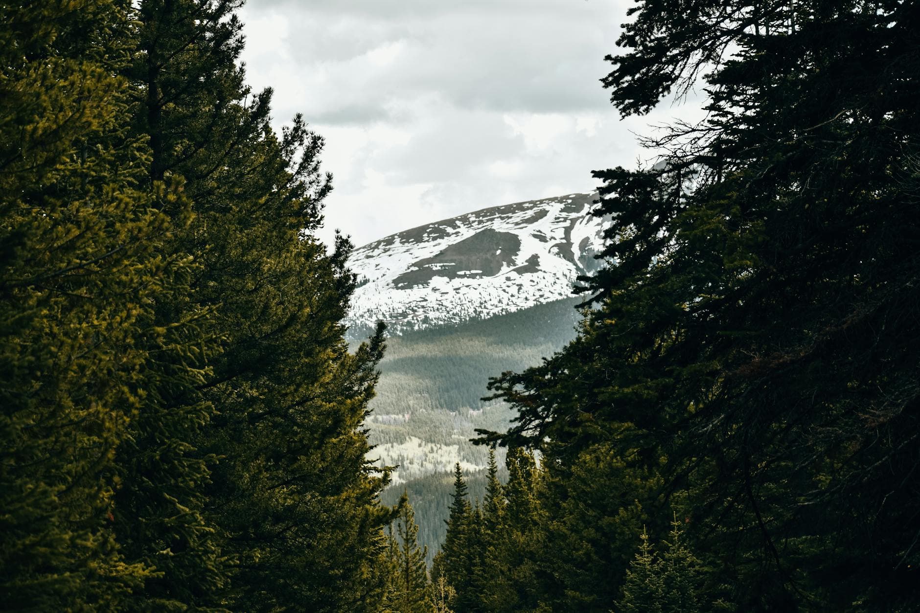 Bear Lake