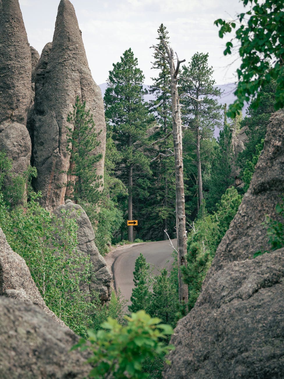 Many Parks Curve
