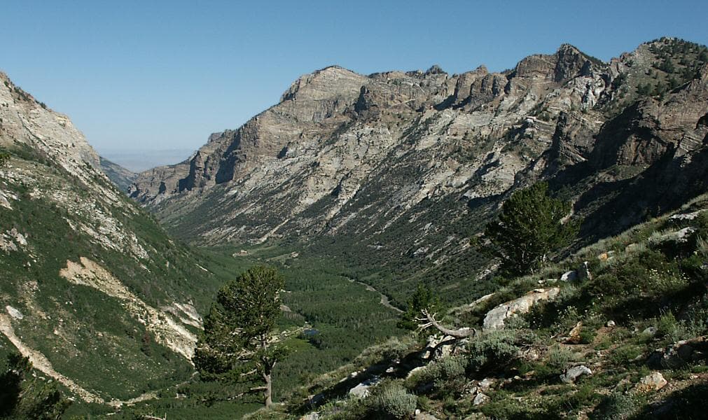 Lamoille Canyon