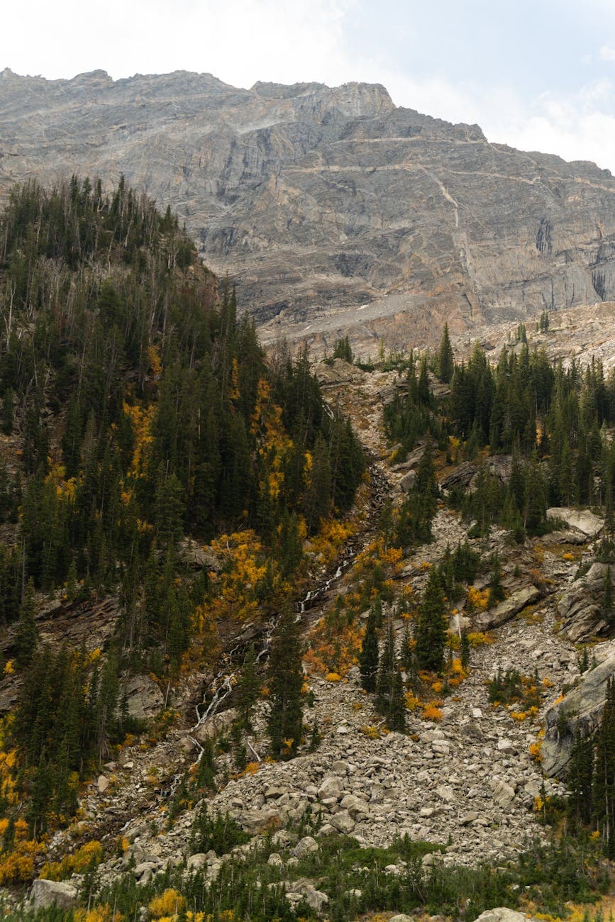 Ruby Crest Trail