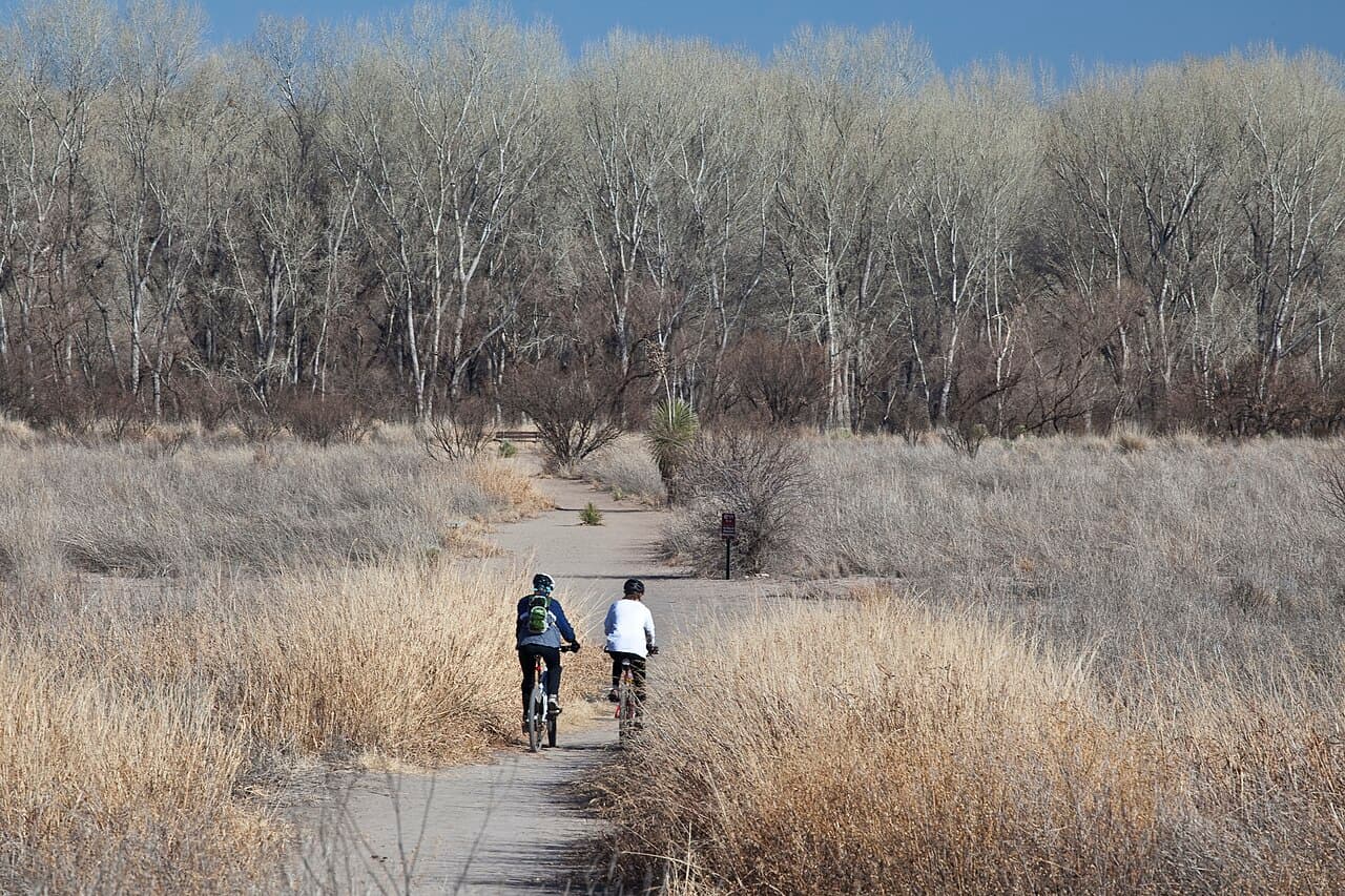 American River Bike Trail