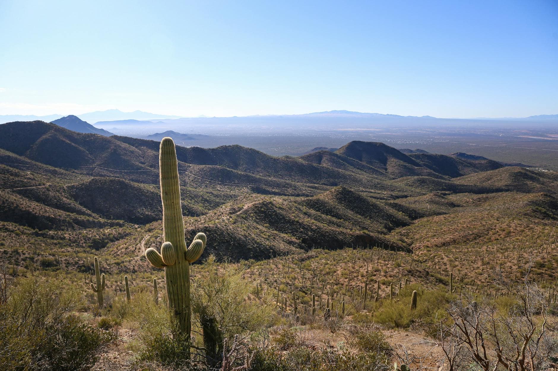Hugh Norris Trail