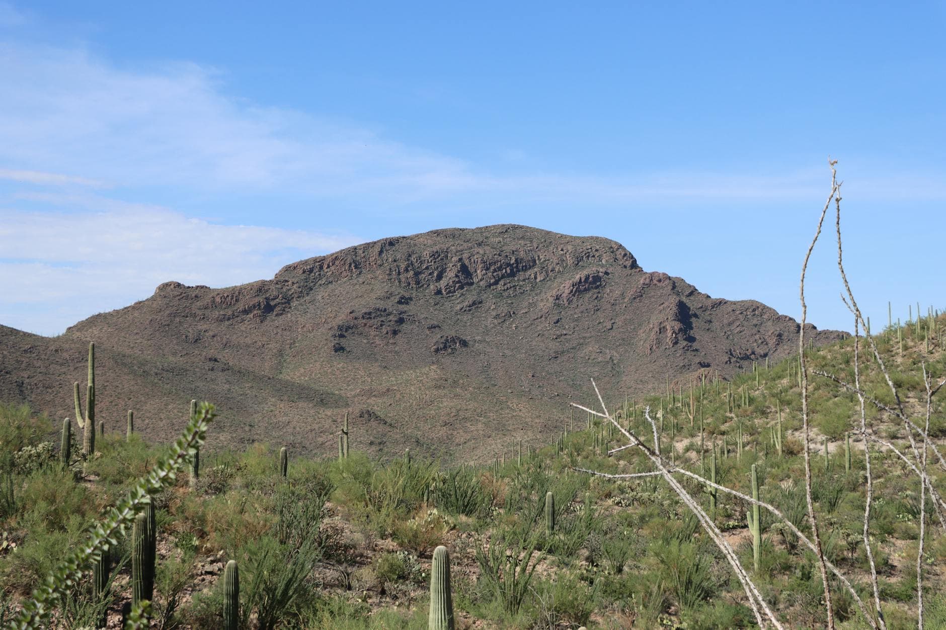 Signal Hill (petroglyphs)