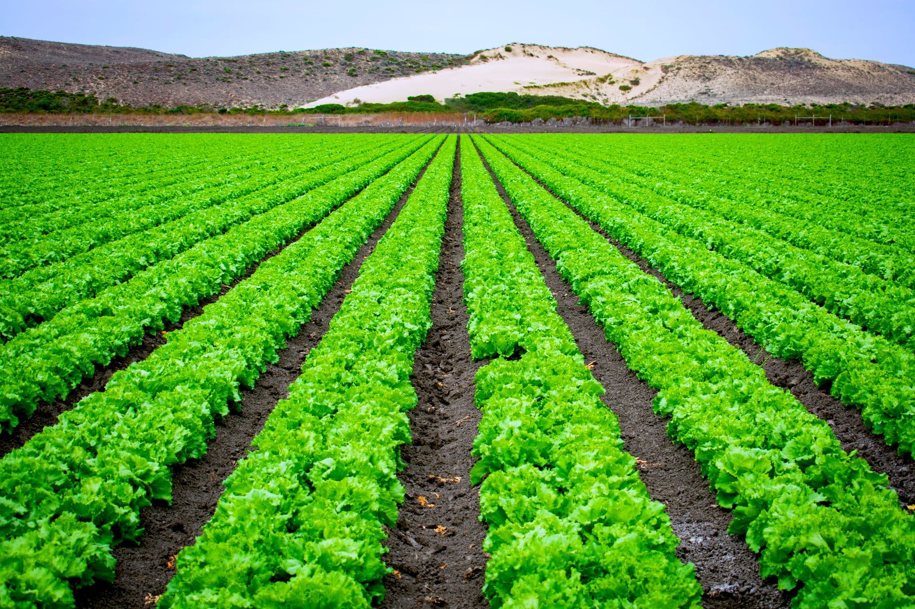 Salinas Valley National Monument & Agricultural Heritage Sites