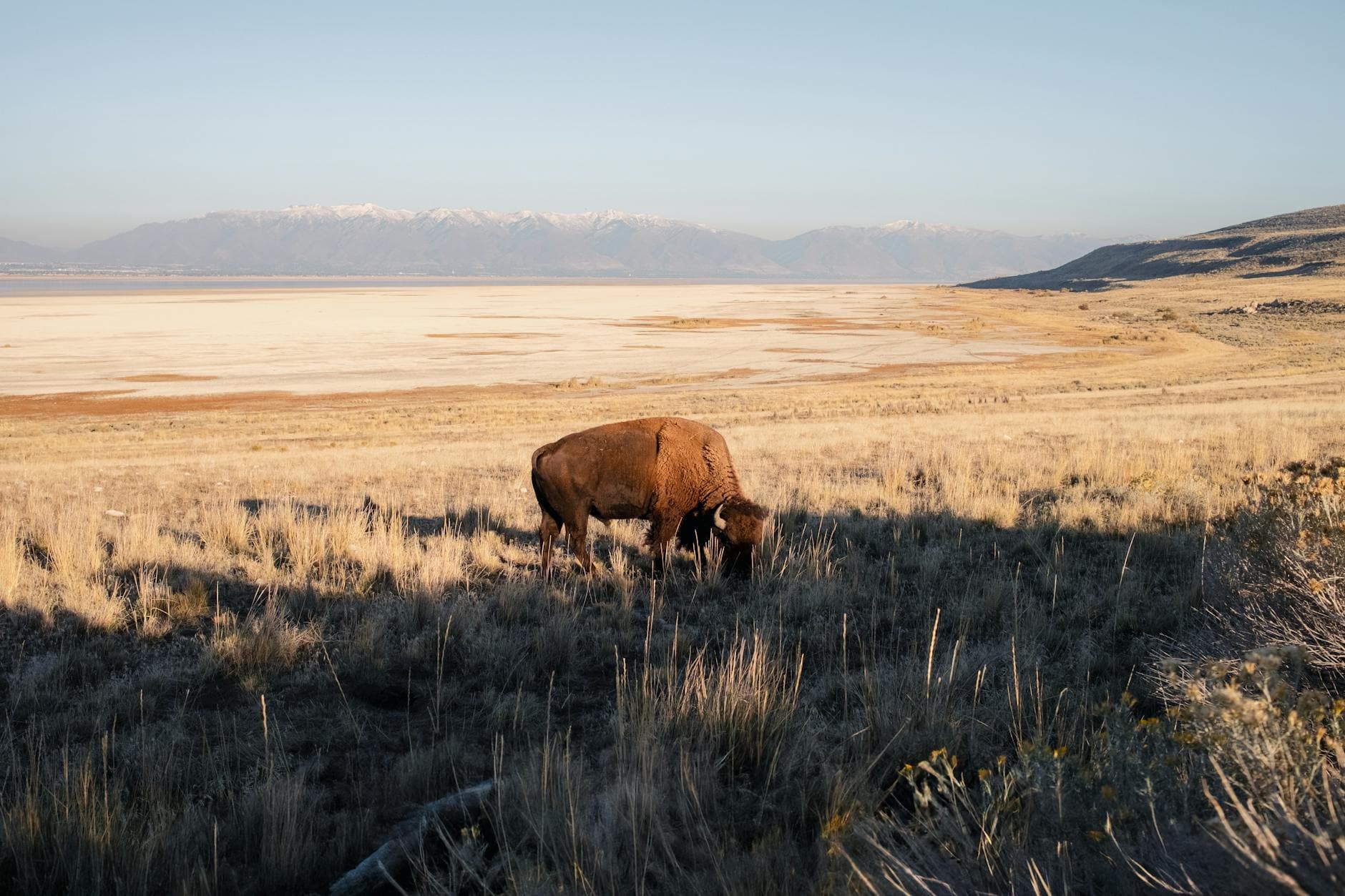 Antelope Island SP (Great Salt Lake)