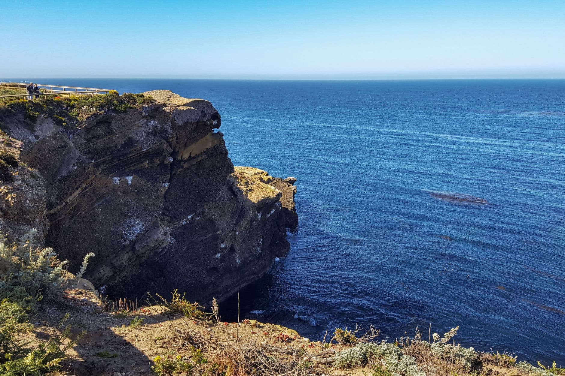 Tomales Point Trail