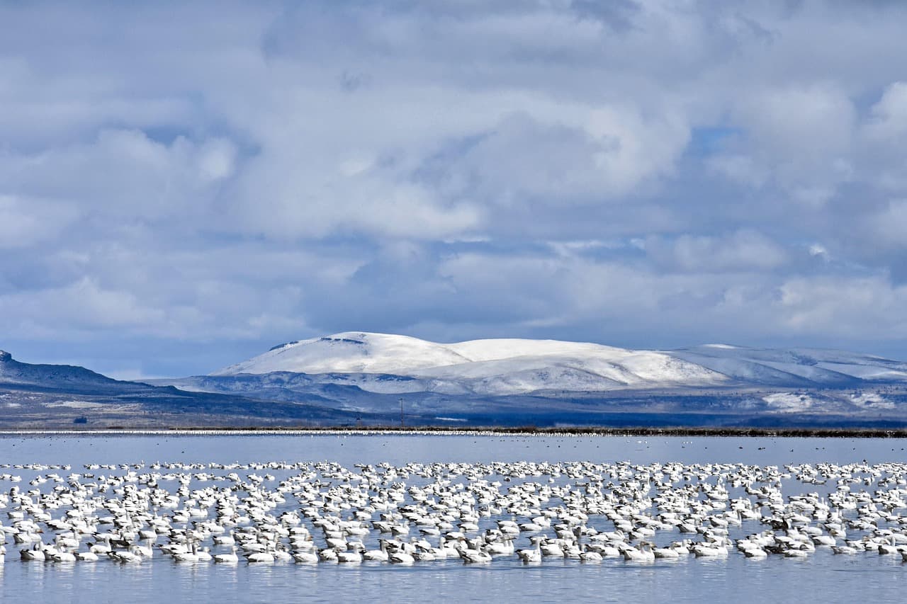 Valentine National Wildlife Refuge
