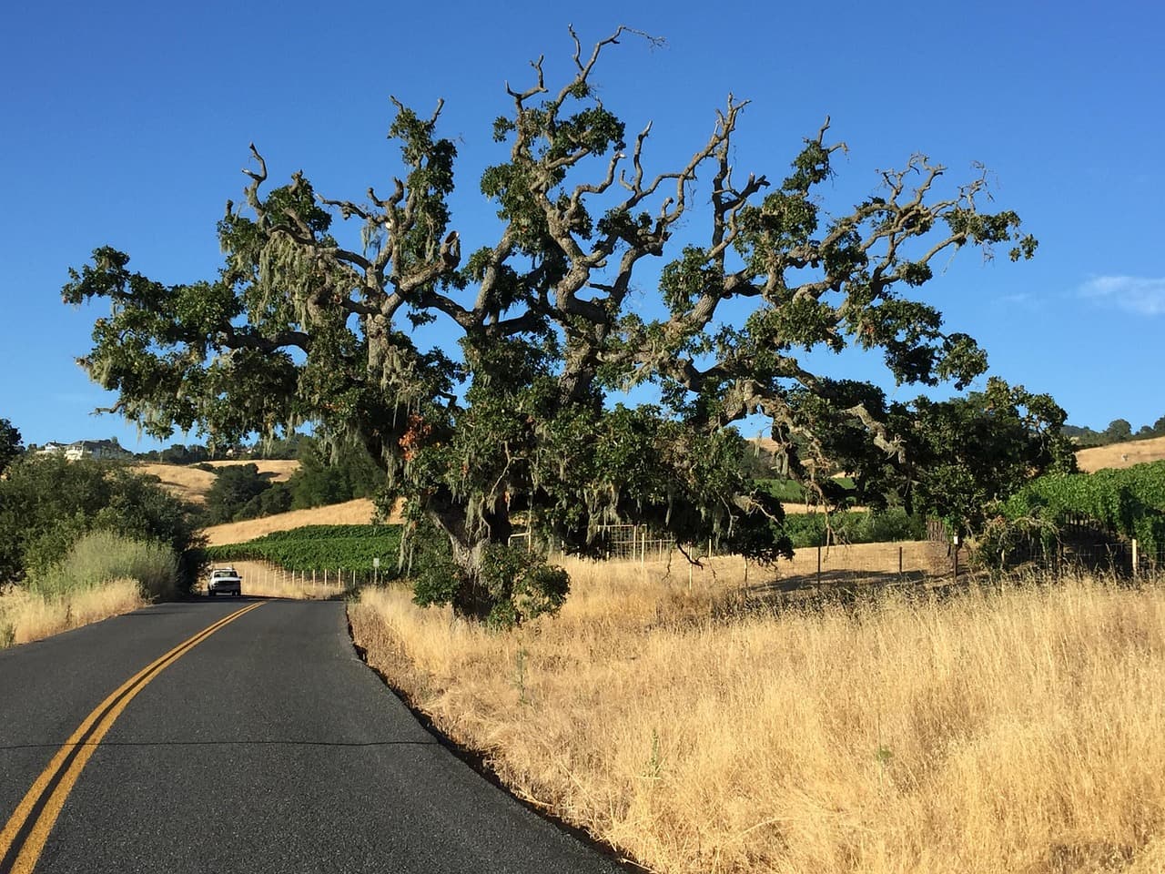 California