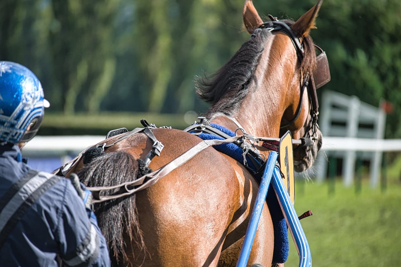 Saratoga Race Course