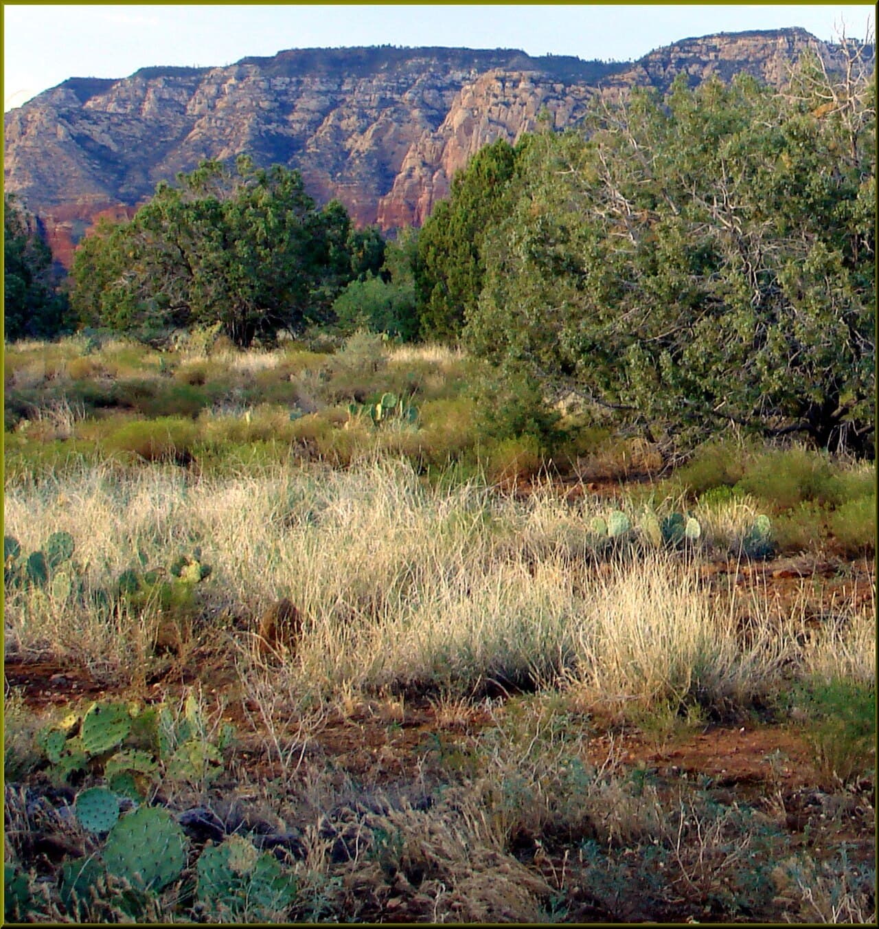 Airport Mesa