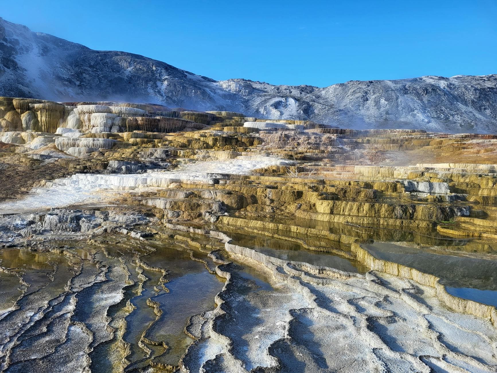 White Sulphur Springs