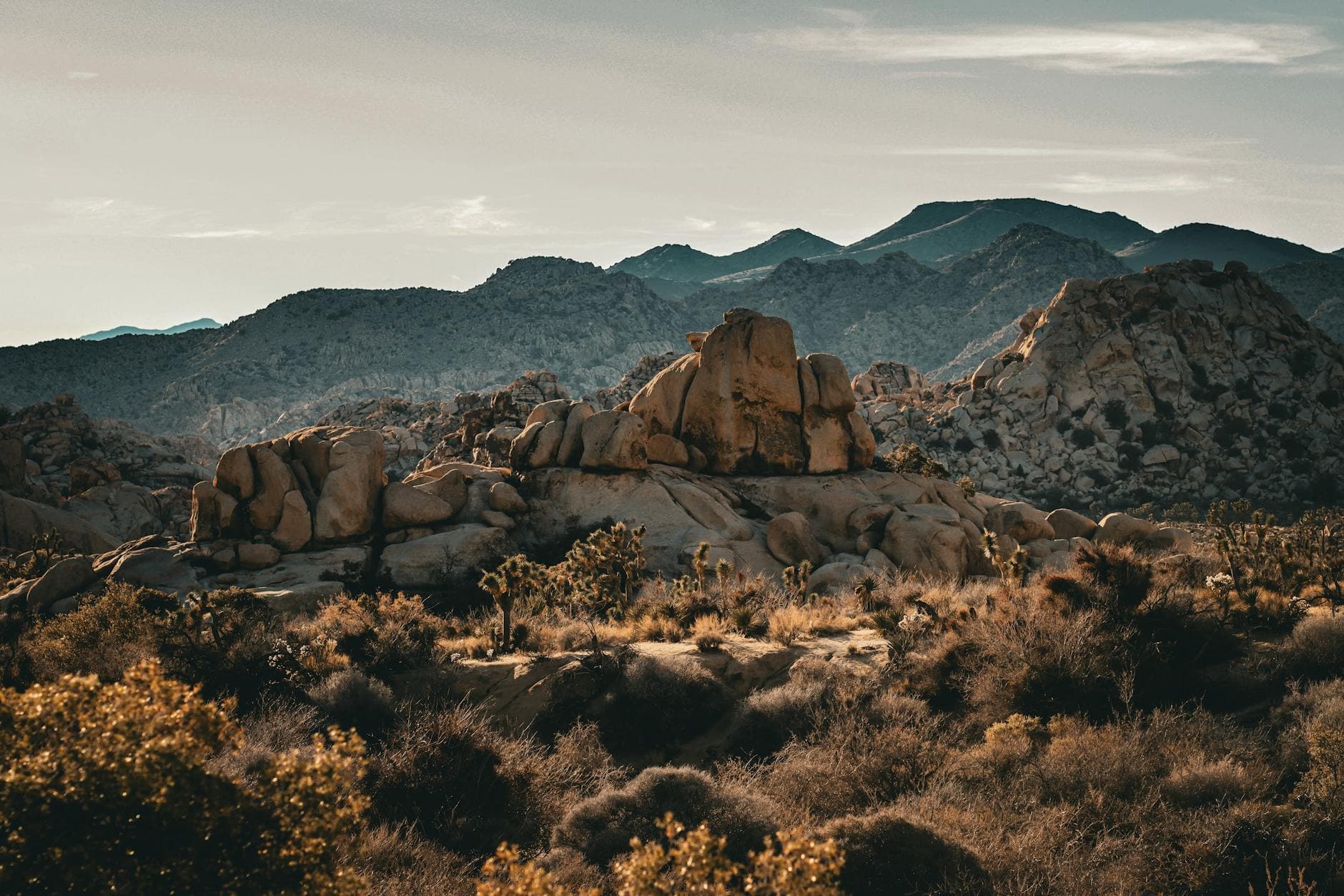 Sonoita Wine Country (Elgin, Sonoita)