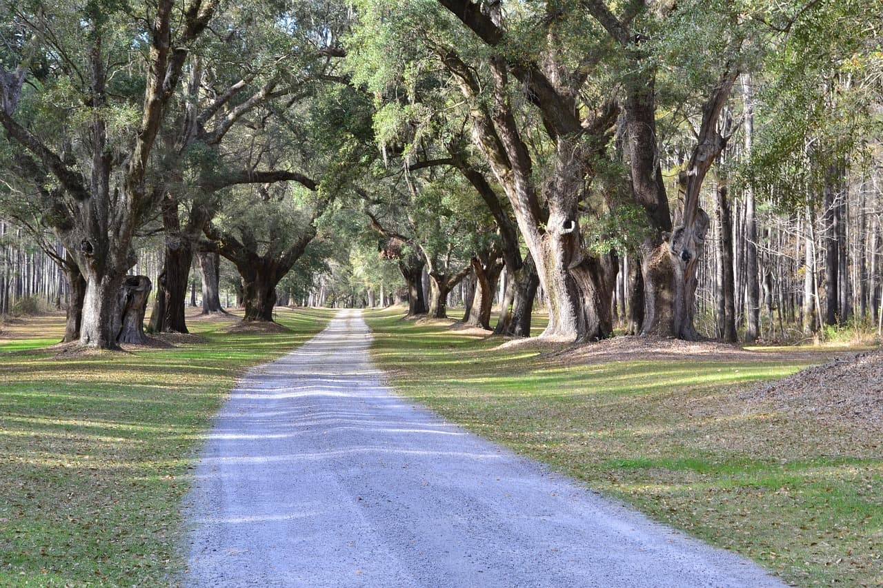 Walnut Grove Plantation
