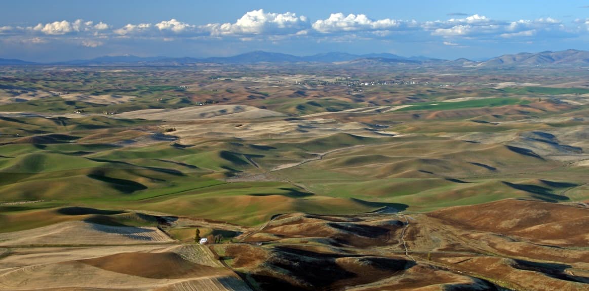 Palouse (steptoe butte)