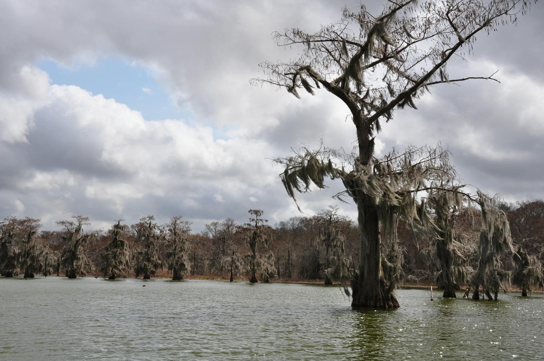 Black Bayou Lake