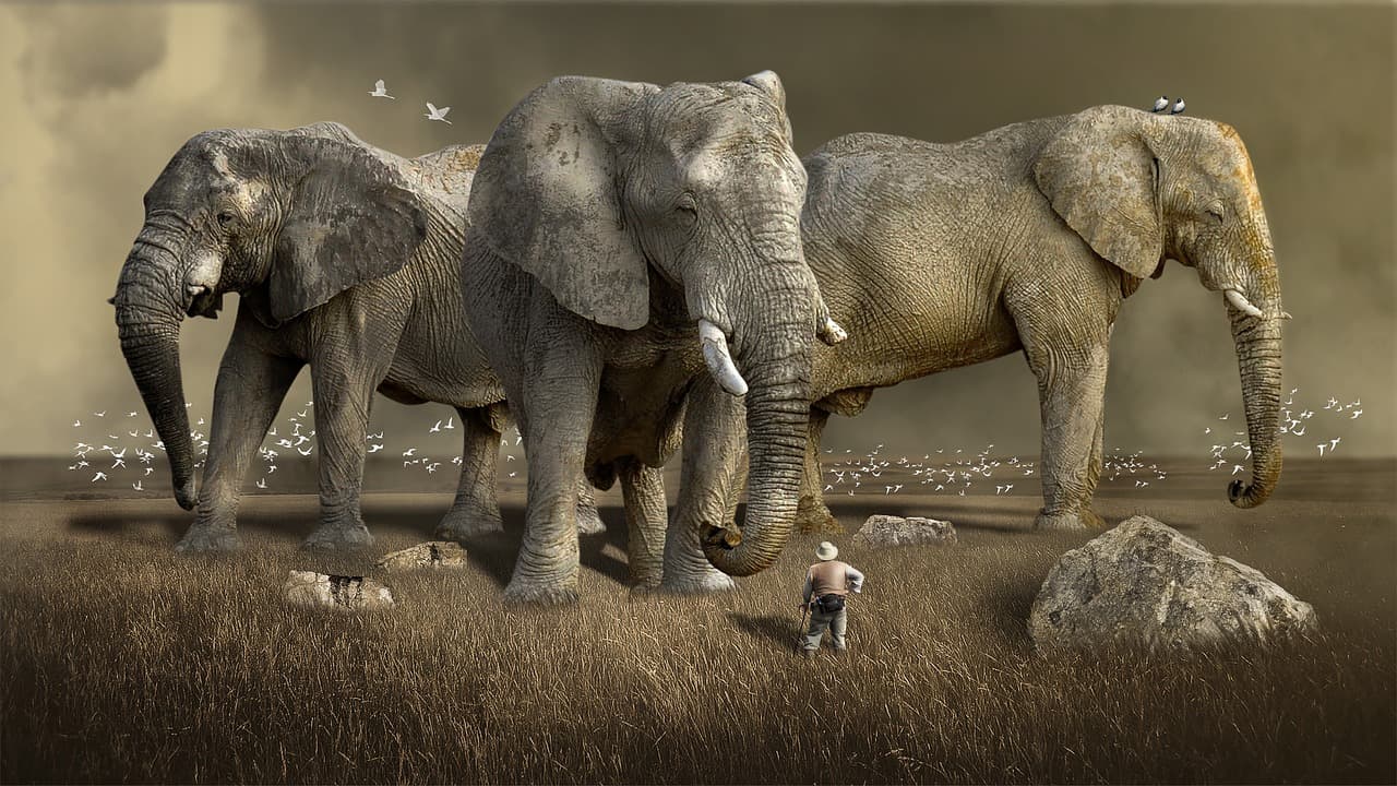 Elephant Rocks SP