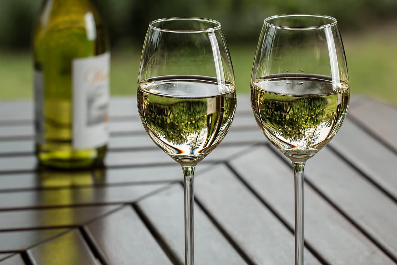 Lodi wine tasting