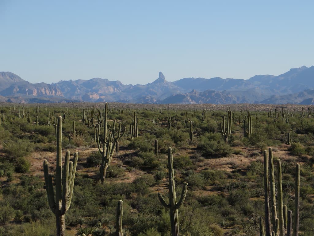 Peralta Trailhead
