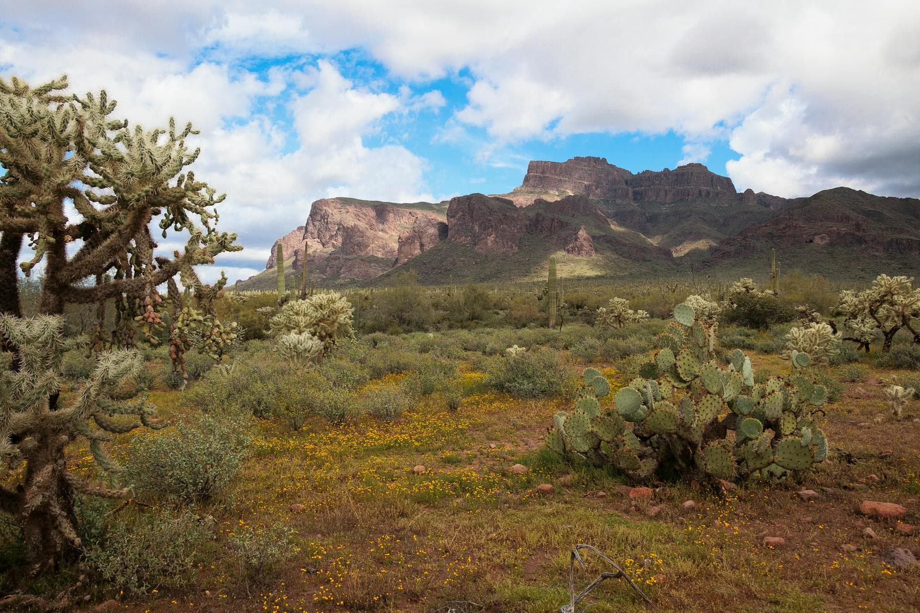 Peralta Trailhead