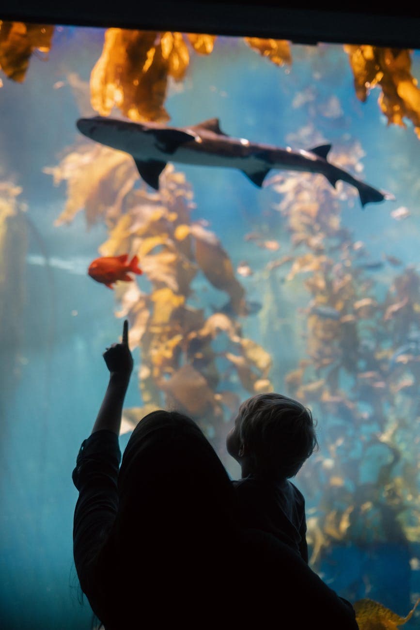 Point Defiance Park (zoo, aquarium, beaches)
